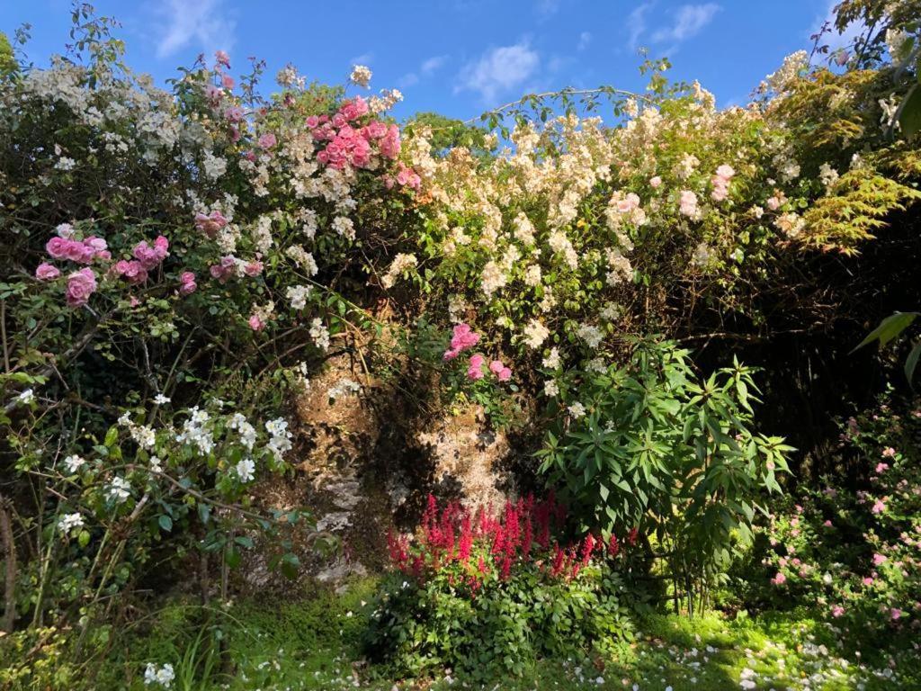 Kilmahon House, P25A973 Bed & Breakfast Shanagarry Luaran gambar
